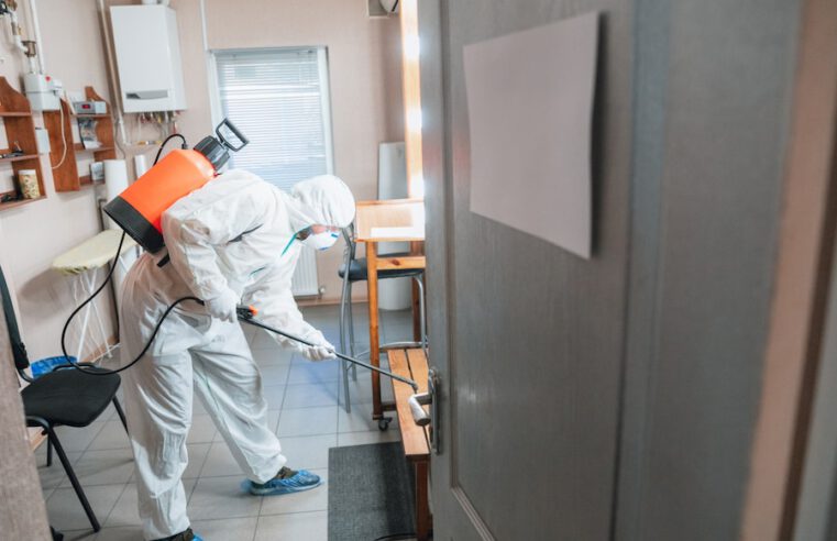 Why Documentation Is Important For Mold Remediation